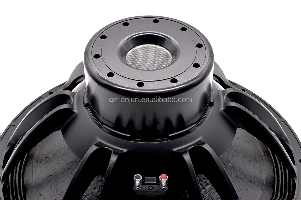 Profesjonalny system audio 21' – Speakers recenzja i cena