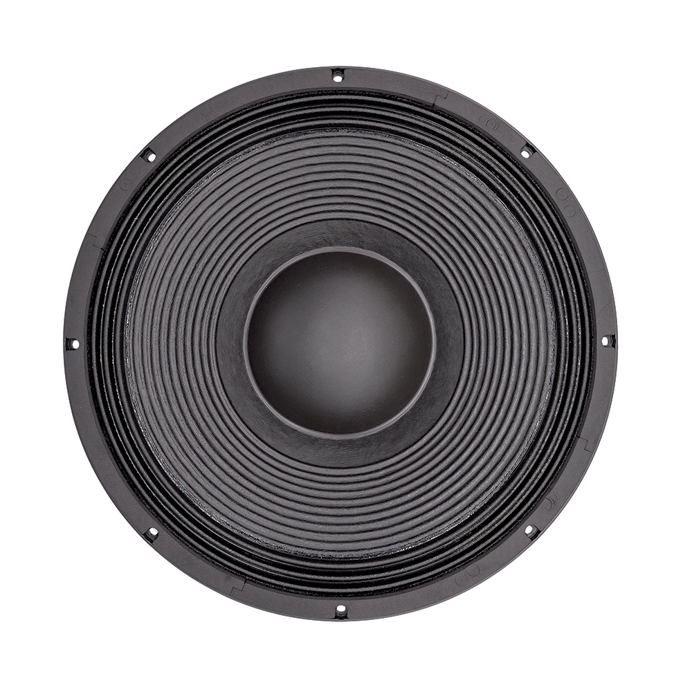 Profesjonalny system audio 21' – Speakers recenzja i cena