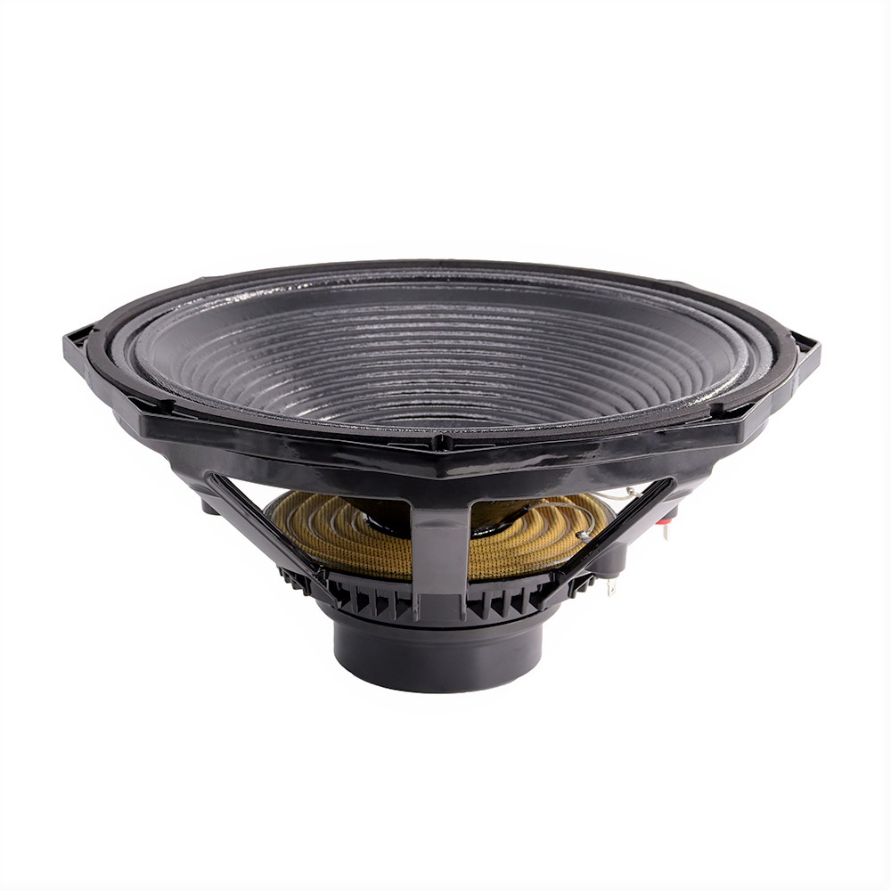 Profesjonalny głośnik audio 60 – Speakers recenzja i cena